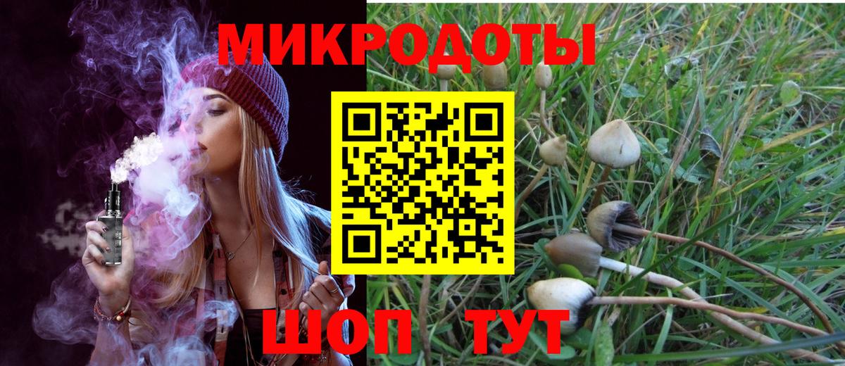 где купить наркоту  Галлюциногенные грибы MAGIC MUSHROOMS  Вход с VPN  Зеленодольск 